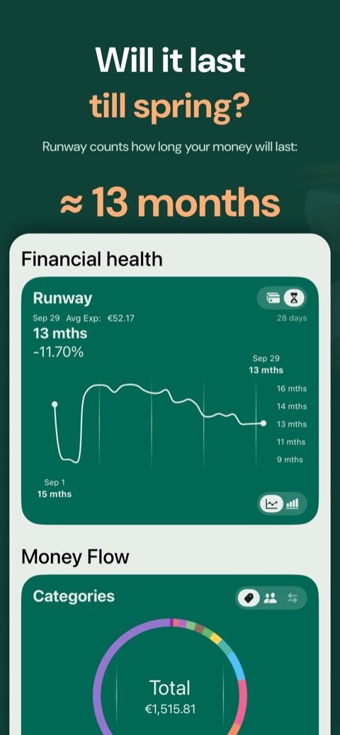 Runway: how many months your money will last