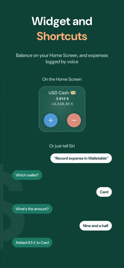 Balance on the Home Screen and an expense logged by voice